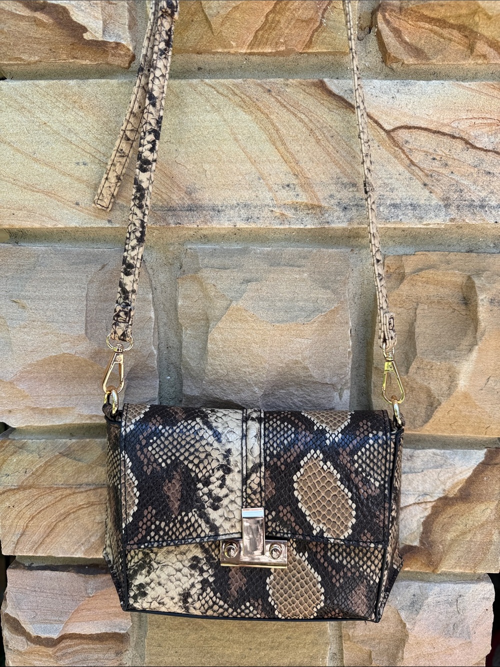 Cato Snake-Print Crossbody Bag in Brown and Cream